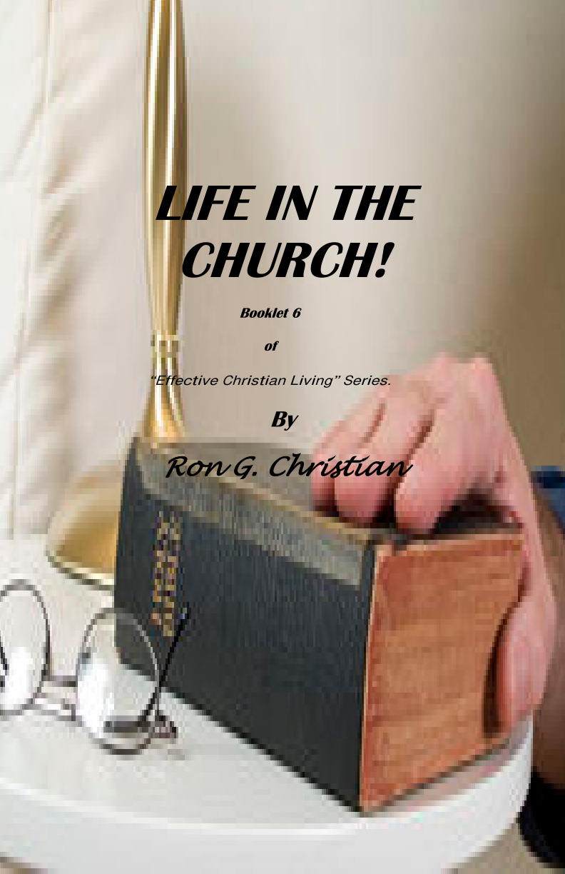 Cover of 06 Life in The Church