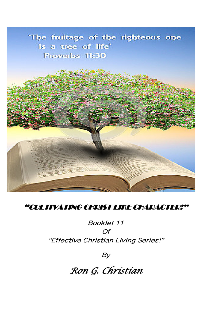 Cover of 11 Cultivating Christ Like Character