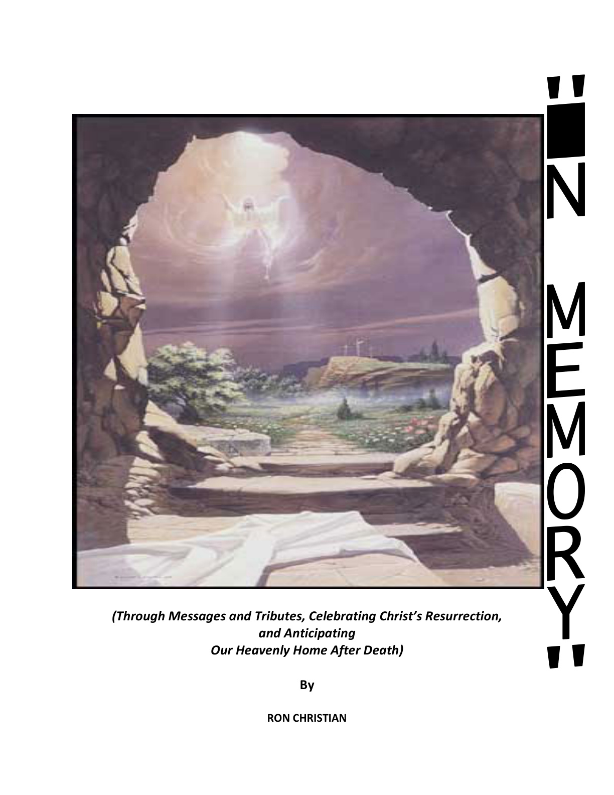 Cover of IN MEMORY